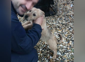 KARMA - kleines fröhliches Mädchen