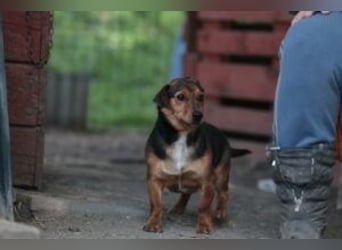 Janosh auf dem Weg ins Glück