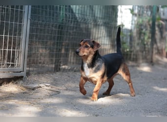 Janosh auf dem Weg ins Glück