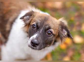 Wunderbare Miya sucht ihre Menschen