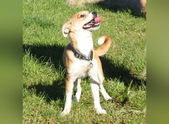 Tini - Herzensfamilie gesucht