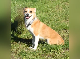 Tini - Herzensfamilie gesucht