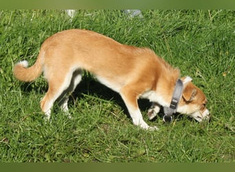 Tini - Herzensfamilie gesucht