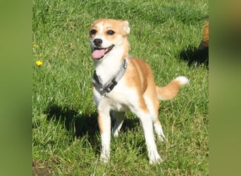 Tini - Herzensfamilie gesucht
