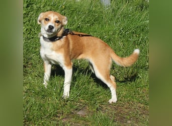 Tini - Herzensfamilie gesucht
