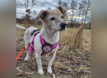 SMILLA - zauberhafte Seniorin sucht ihre Menschen