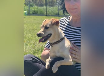 Goldschatz Emilia sucht ihre Menschen