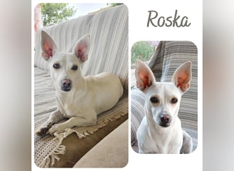 Roska