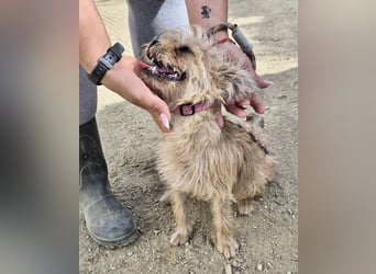 Lupita, neugierig. verspielt, offen, freundlich