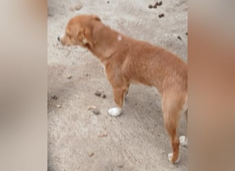 Boomer - neugierig und interessiert