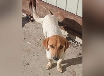 Vanja - neugierig und interessiert