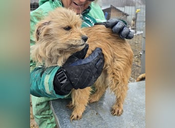Betty - freundlich und neugierig