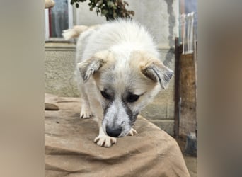 Jubata - freundlich und verschmust