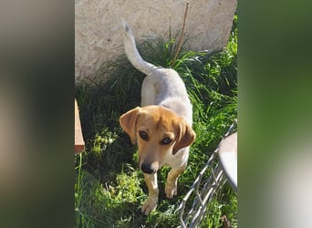 Vanja - neugierig und interessiert