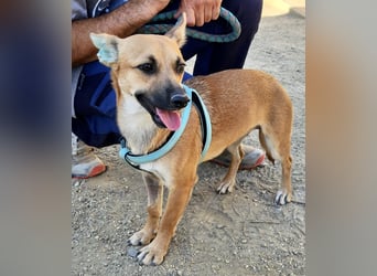 Margarita, aufmerksam, lernwillig und neugierig