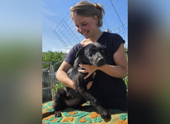 Mavie - freundlich und interessiert