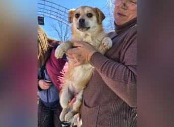 Lotte - gut verträglich - BEREITS IN DEUTSCHLAND