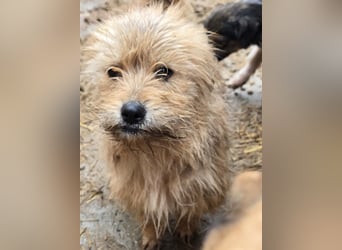 Betty - freundlich und neugierig