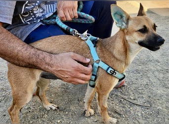 Margarita, aufmerksam, lernwillig und neugierig