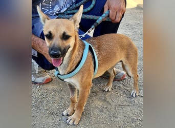 Margarita, aufmerksam, lernwillig und neugierig