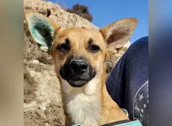 Margarita, aufmerksam, lernwillig und neugierig