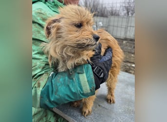 Betty - freundlich und neugierig