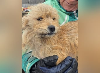 Betty - freundlich und neugierig