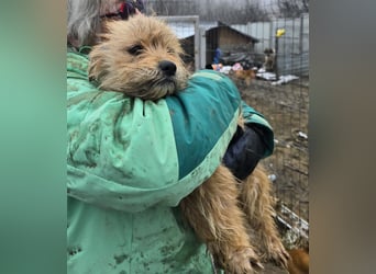 Betty - freundlich und neugierig
