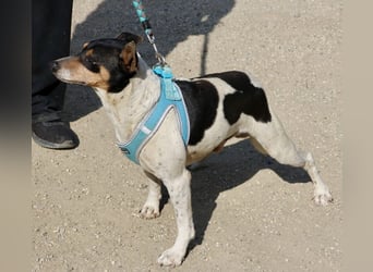 Prince, freundlich, neugierig, offen