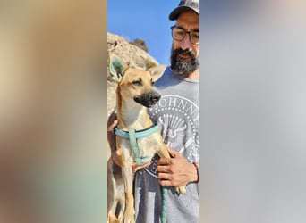 Margarita, aufmerksam, lernwillig und neugierig