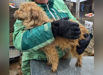 Betty - freundlich und neugierig