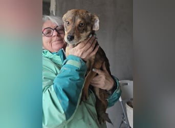 Nina - jung und neugierig