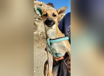 Margarita, aufmerksam, lernwillig und neugierig