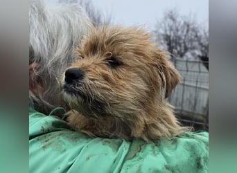 Betty - freundlich und neugierig
