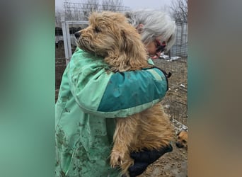 Betty - freundlich und neugierig