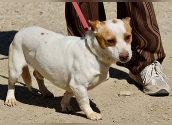 Kevin - verschmust, freundlich und aufgeweckt