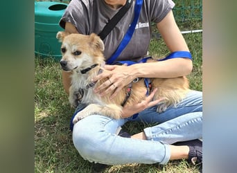 Lotte - gut verträglich - BEREITS IN DEUTSCHLAND