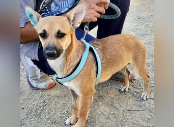 Margarita, aufmerksam, lernwillig und neugierig