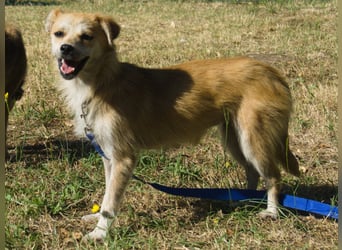 Lotte - gut verträglich - BEREITS IN DEUTSCHLAND