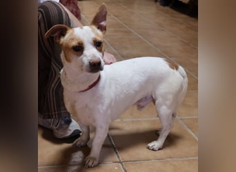 Kevin - verschmust, freundlich und aufgeweckt