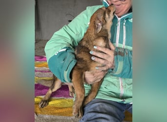 Nina - jung und neugierig