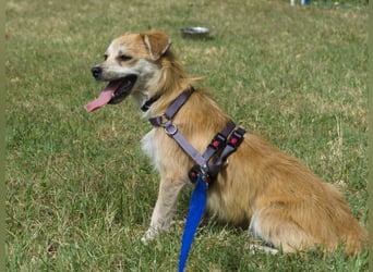 Lotte - gut verträglich - BEREITS IN DEUTSCHLAND