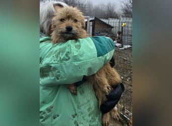 Betty - freundlich und neugierig