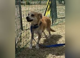 Lotte - gut verträglich - BEREITS IN DEUTSCHLAND