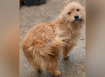 Betty - freundlich und neugierig