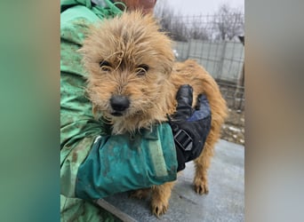 Betty - freundlich und neugierig