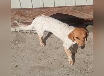 Vanja - neugierig und interessiert