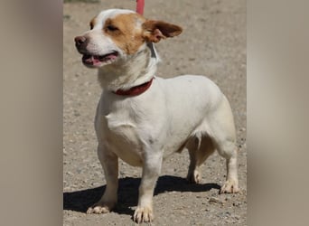 Kevin - verschmust, freundlich und aufgeweckt