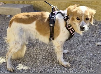 Alma - verschmust, neugierig und aufmerksam