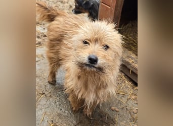 Betty - freundlich und neugierig